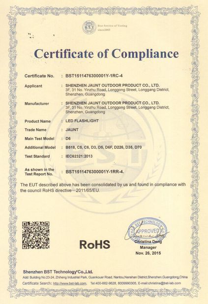 Shenzhen Huazhisheng New Material Technology Co., Ltd.